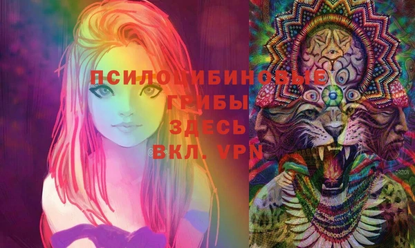 кокаин Белокуриха